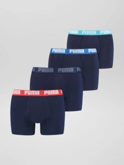 Boxer 'Puma' - Set Di 4