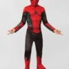 Costume Da 'Spider-Man'