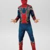 Costume 'Iron Spider'
