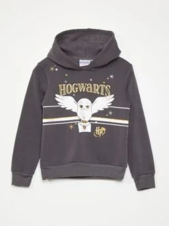 Felpa 'Harry Potter' Con Cappuccio