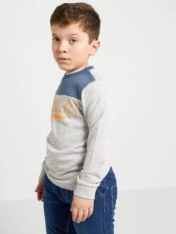 Felpa In French Terry Con Stampa -Kiabi felpa in french terry con stampa grigio zr023 1 frb4