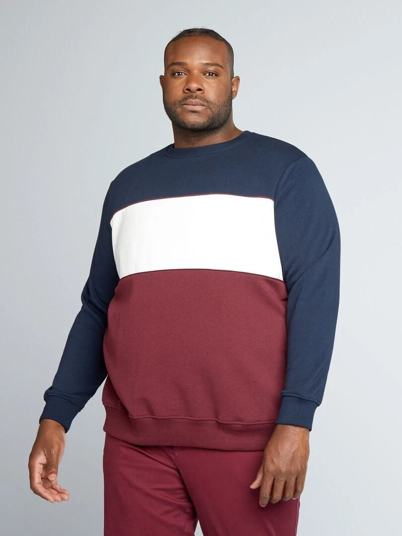 Felpa In Tessuto Felpato Garzato Colorblock 1 Felpa In Tessuto Felpato Garzato Colorblock