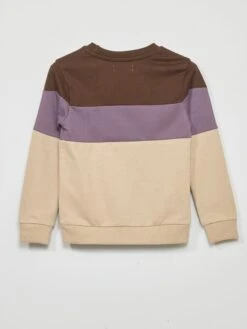 Felpa In Tessuto Felpato Leggero Color Block -Kiabi felpa in tessuto felpato leggero color block marroneviola avi99 1 frb3