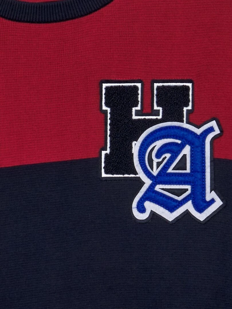 Pullover A Righe Con Stemma Sul Petto 2 Pullover A Righe Con Stemma Sul Petto - immagine 2