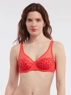Reggiseno Imbottito Ricamato 'DIM'