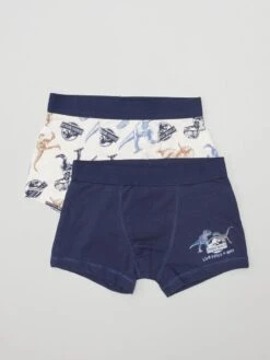 Set Di 2 Boxer 'Jurassik Park'