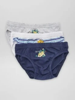 Set Di 2 Slip 'Il Re Leone'